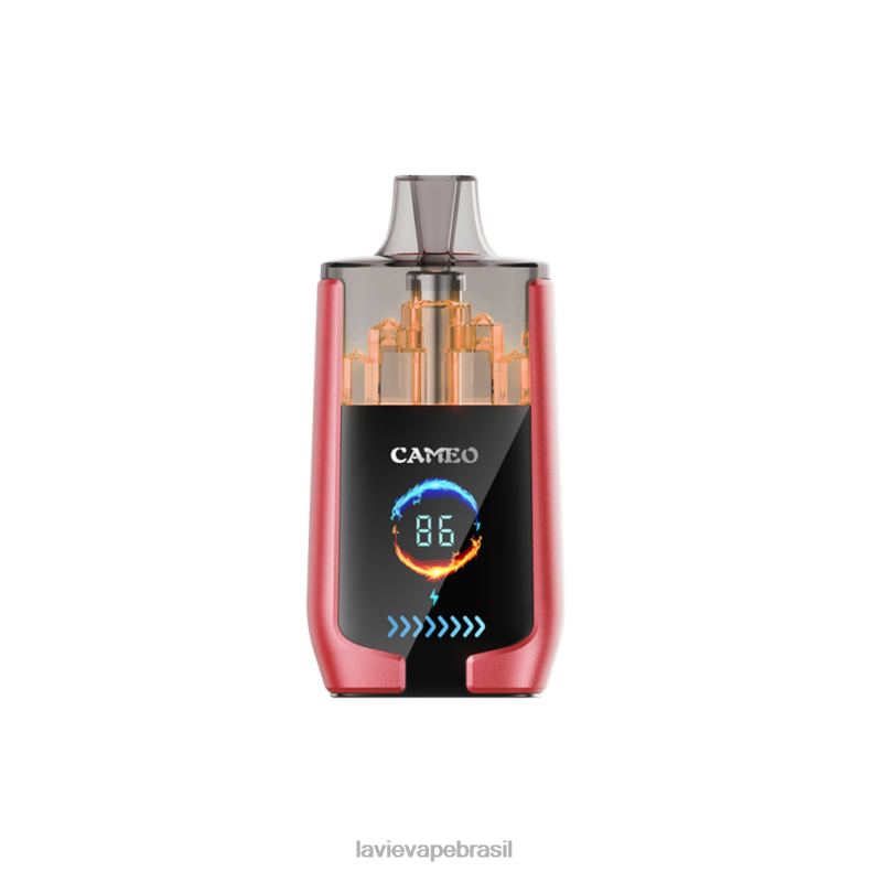 gelo de melancia LAVIE CAMEO 30000 baforadas 6X42214 | Lavie Vape Reddit